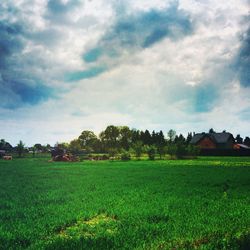 Scenic view of grassy field against cloudy sky