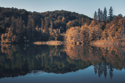 Reflection of trees in lake against sky