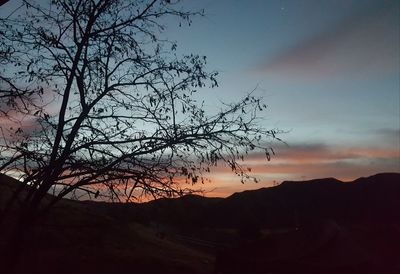 Silhouette tree on landscape against sky at sunset