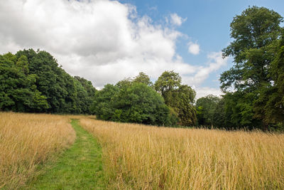 Scenic view of field against sky