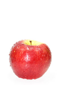 Close-up of red fruit over white background