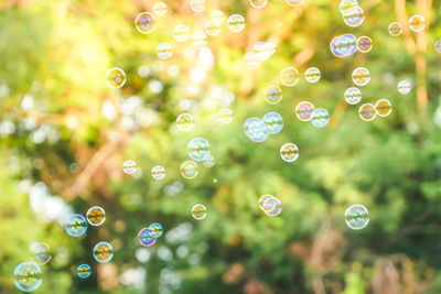 Close-up of water drops on bubbles