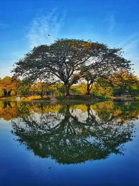 Tree by lake against sky during autumn