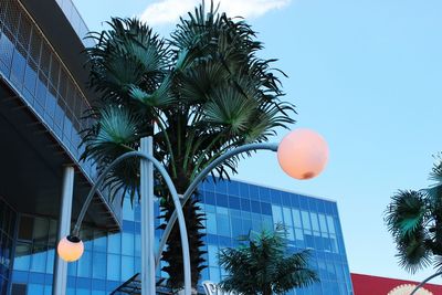 Low angle view of palm trees against blue sky