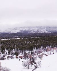 Scenic view of landscape against sky during winter