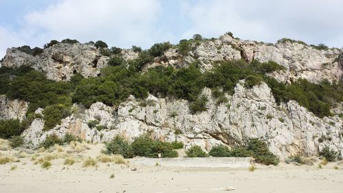 Trees and rocks against sky