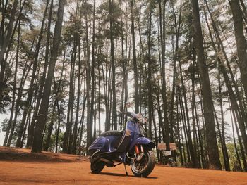 Man riding motorcycle on road amidst trees in forest