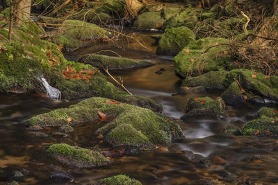 Stream flowing through rocks in forest