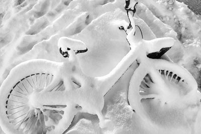 High angle view of sheep on snow