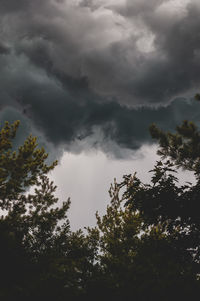 Low angle view of trees against cloudy sky