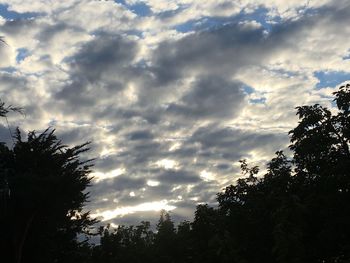 Low angle view of silhouette trees against sky