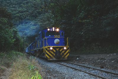 Train on railroad track amidst trees