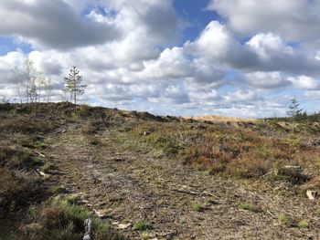 Scenic view of landscape against sky