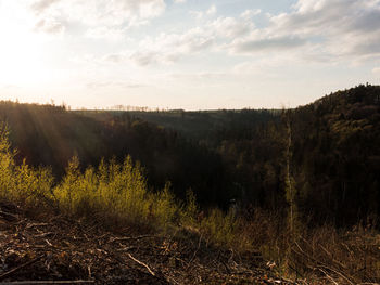 nature