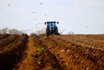 Scenic view of field against clear sky