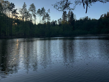 Scenic view of lake in forest against sky