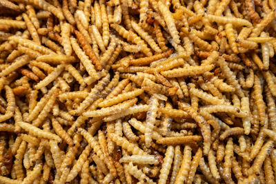 Full frame shot of crab