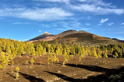 View of landscape against cloudy sky