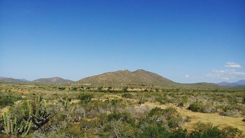 Scenic view of mountains