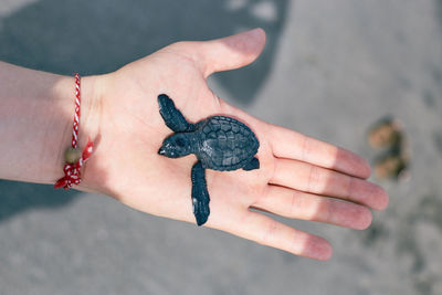 Close-up of person holding hands