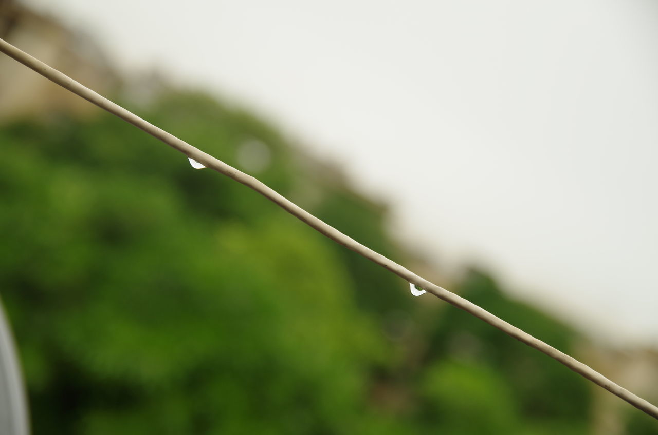 drop, water, close-up, focus on foreground, growth, wet, nature, plant, selective focus, blade of grass, day, dew, beauty in nature, fragility, green color, freshness, outdoors, purity, tranquility, no people