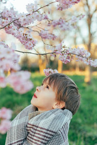 Portrait of a little boy wrapped in a blanket enjoying cherry blossoms in a city park.