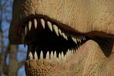 Close-up of dinosaur