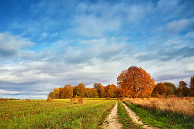 Scenic view of field against sky during autumn