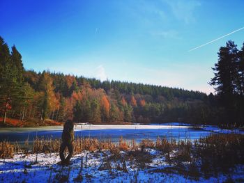 Scenic view of lake in forest against sky during winter