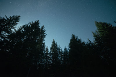 Silhouette trees against sky at night