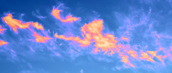 Low angle view of orange sky