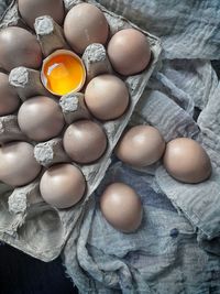 High angle view of eggs in container