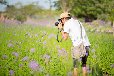 Man photographing purple flowering plants on field