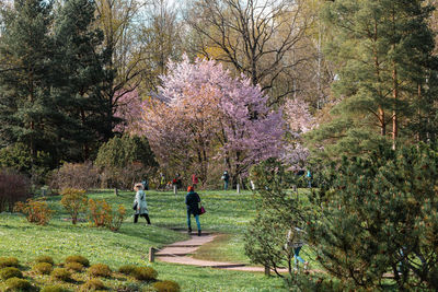 People walking in park during autumn