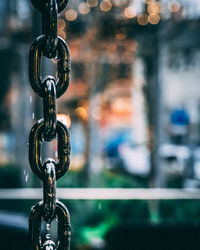 Close-up of wet chain hanging outdoors
