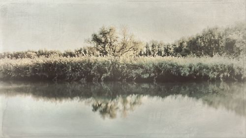 Scenic view of lake by trees against sky