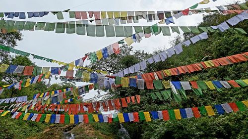 Low angle view of multi colored budhha prayer flags hanging against sky