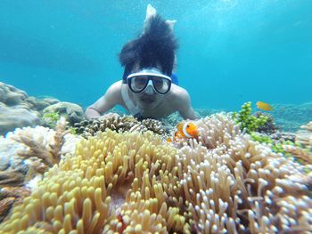 Man swimming by fishes and coral in sea