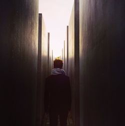 Rear view of man standing at memorial