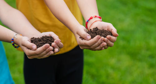 Midsection of woman holding sapling