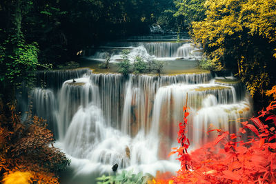 View of waterfall in forest