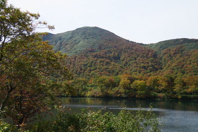 Scenic view of lake by trees against clear sky