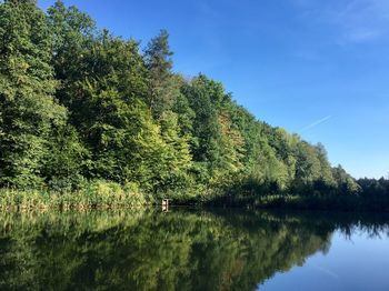 Scenic view of lake in forest against sky