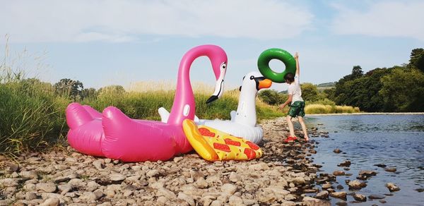 Inflatable peacock 