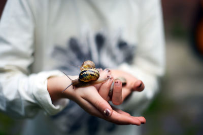 Midsection of woman holding snail on hand