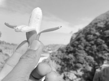 Close-up of hand holding leaf