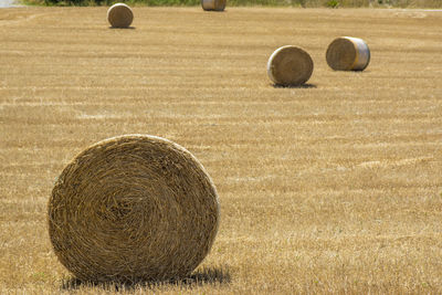 Hay bales on field