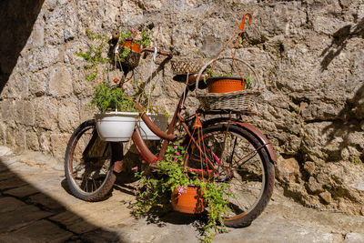 Bicycle parked against wall