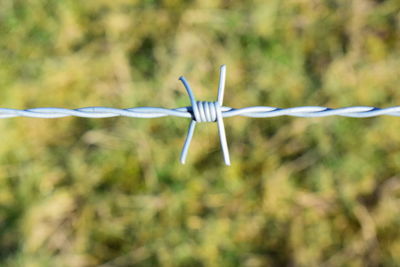 Close-up of clothespins on clothesline