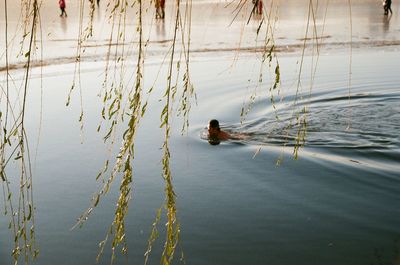 People swimming in lake